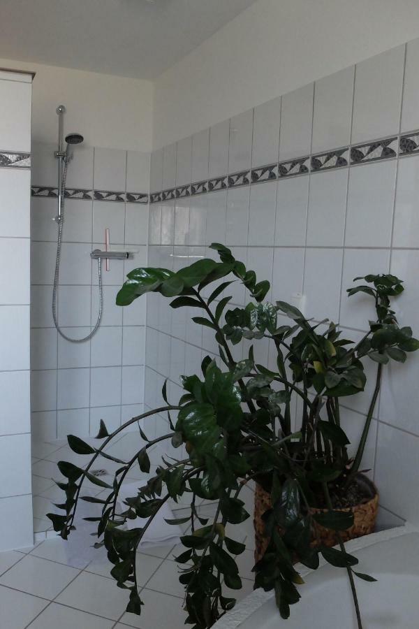 Ferienwohnung Elsa Höchst Kültér fotó